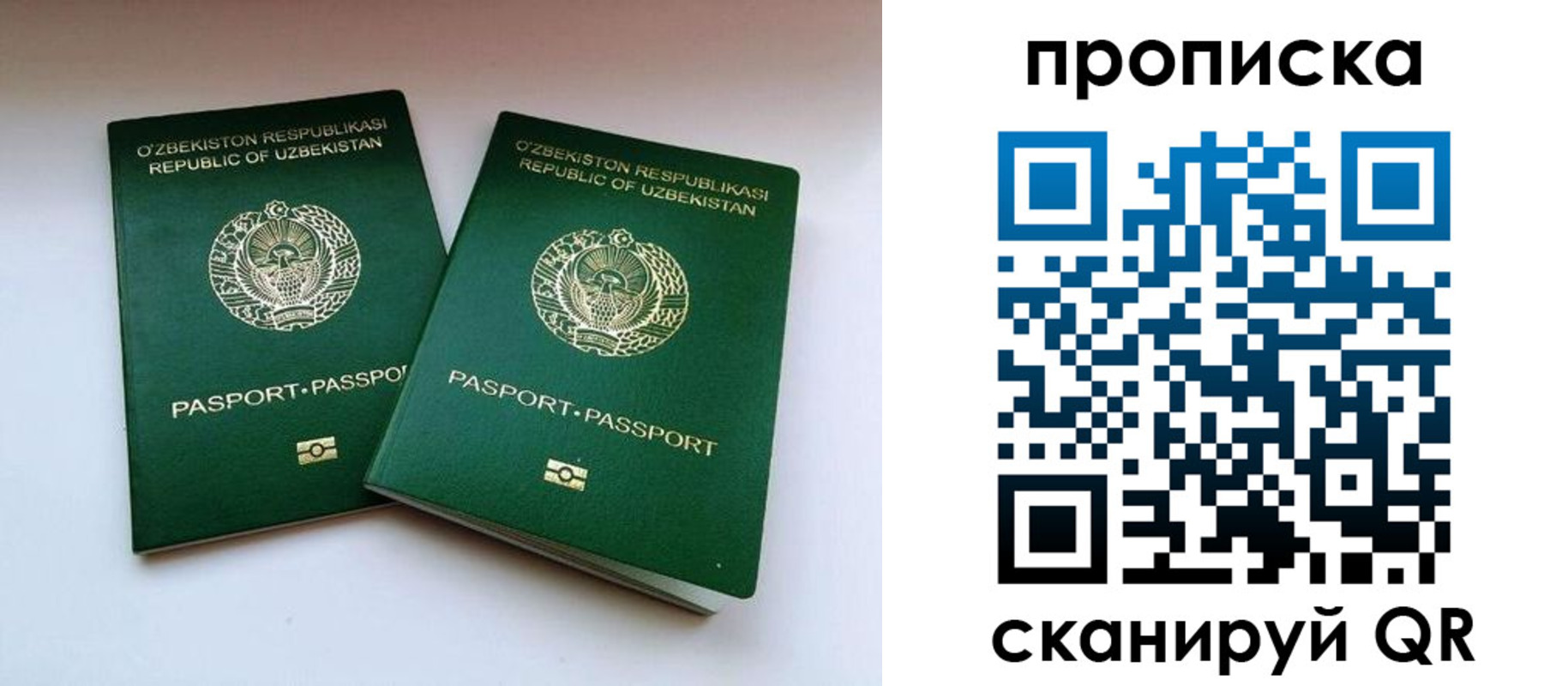 прописка поиск в Балашихе
